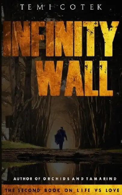 Infinity Wall: The Second Book on Life vs Love by Temi Cotek