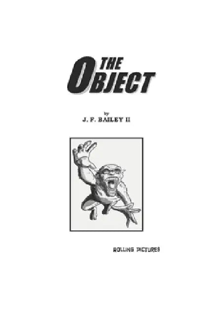 The Object by J. F., II Bailey