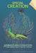 Special Creation: Dismantling Evolution and Confirming Independent Origins by Matt Nailor