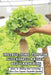 Instructions, Tips For Successful Raised Bed Gardening_ Guide To Making And Sustaining Your Own Organic Vegetable Garden: Gardening Tips by Inell Haddan