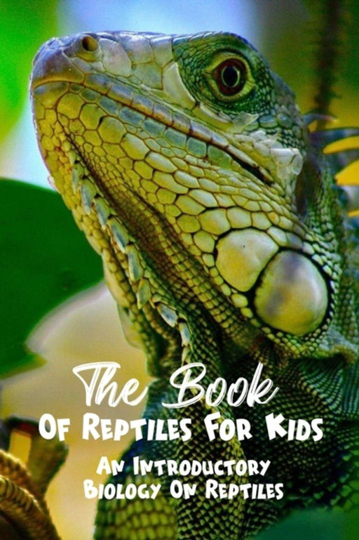 The Book Of Reptiles For Kids An Introductory Biology On Reptiles: Animal Book For Kids by Bending, Ellsworth