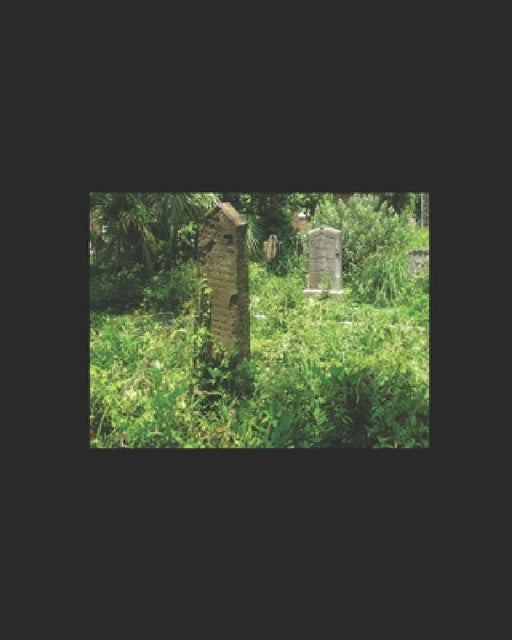 Life and Bones of the twelve apostles: A gift for sick people by Luis Carlos Ospina Romero