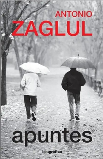 Apuntes by Zaglul, Antonio