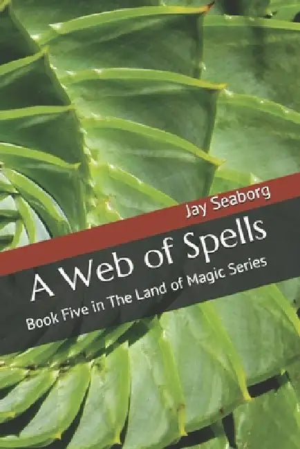 A Web of Spells: Book Five in The Land of Magic Series by Jay Seaborg