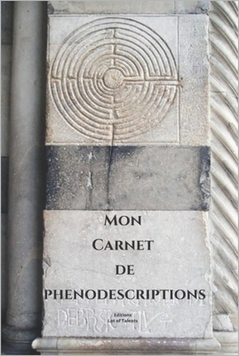 Mon Carnet de Phenodescriptions: Carnet destiné aux sophronisants. Permet de noter vos ressentis, vos sensations et vos images pour évoluer. by Magali Ducret, Editions Lot of Talents
