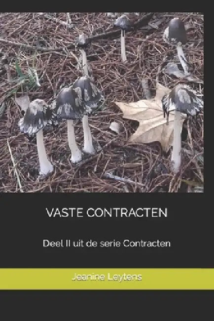 Vaste Contracten: Deel II uit de serie Contracten by Jeanine Leytens