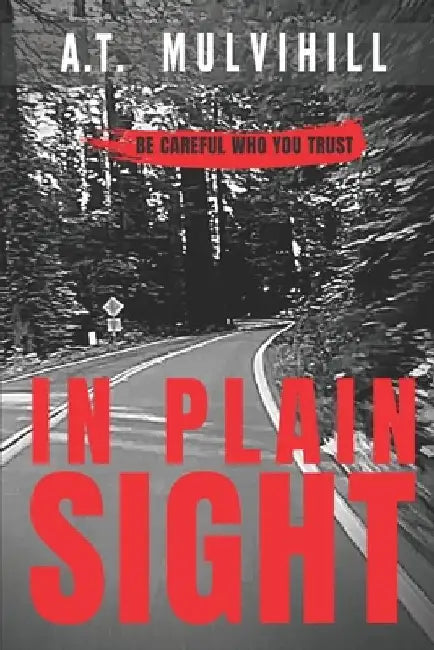 In Plain Sight by A. T. Mulvihill