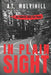 In Plain Sight by A. T. Mulvihill