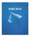 Sting Rays: A Decorative Book │ Perfect for Stacking on Coffee Tables & Bookshelves │ Customized Interior Design & Home Decor by Decora Book Co