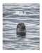 Seals: A Decorative Book │ Perfect for Stacking on Coffee Tables & Bookshelves │ Customized Interior Design & Home Decor by Decora Book Co