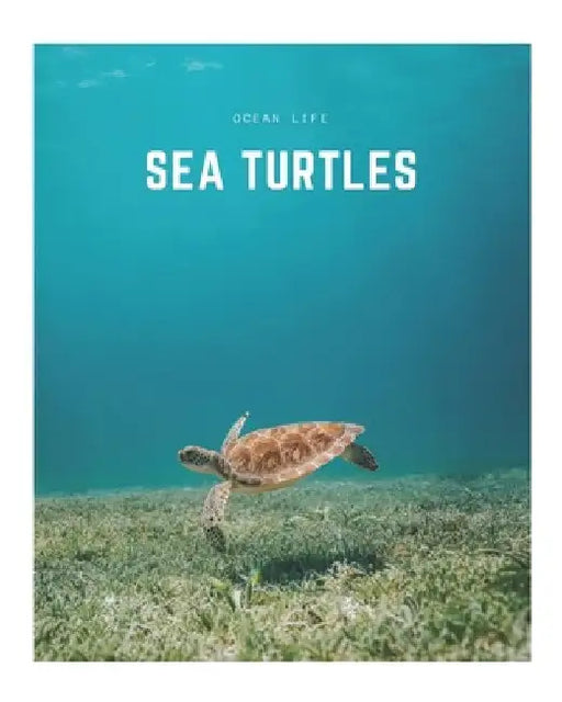 Sea Turtles: A Decorative Book │ Perfect for Stacking on Coffee Tables & Bookshelves │ Customized Interior Design & Home Decor by Decora Book Co