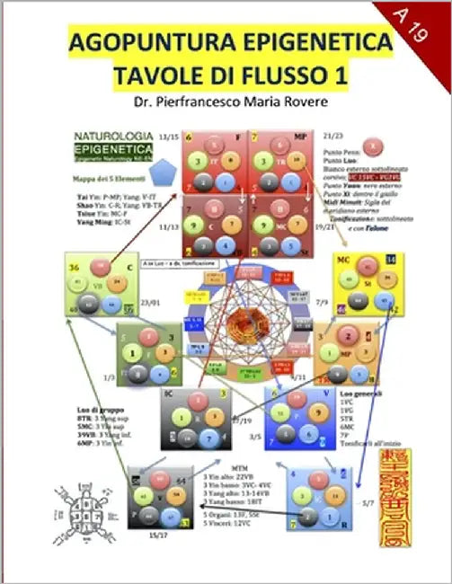 Agopuntura Epigenetica 1: Tavole di Flusso by Madruga, Frank Eduardo