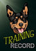 Training Record: Australian Kelpie Dog by Ben Brew