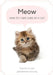 How to take care of a cat / cat guide: gatitosmascotas. by Alejandro Stolte