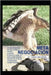 Meta-Negociacion: Efecto Leverage by Díaz Diesel, Hector Daniel