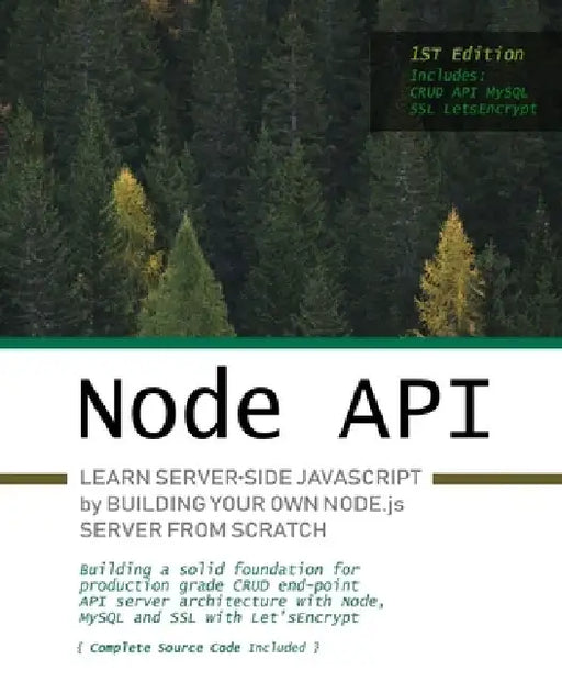 Node.js API: Learn server-side JavaScript by building your own Node.js server from scratch by Greg Sidelnikov