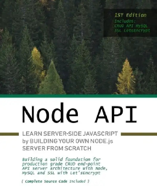 Node.js API: Learn server-side JavaScript by building your own Node.js server from scratch by Greg Sidelnikov