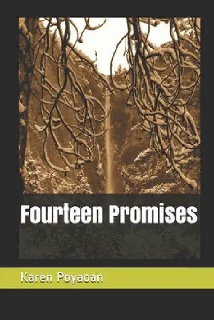 Fourteen Promises by Karen Poyaoan