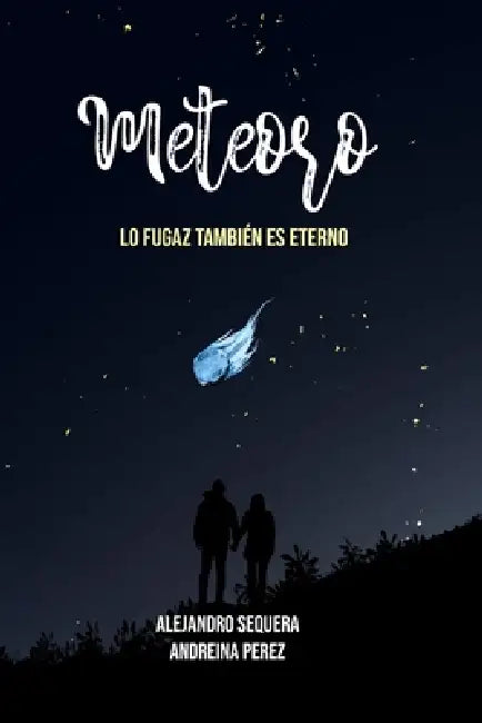 Meteoro (Edición Especial): Lo Fugaz También es Eterno by Alejandro Sequera, Andreina E. Perez
