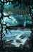 Aberration by Rebecca E. McEwen