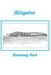 Alligator Drawing Pad by Karen Rhodes