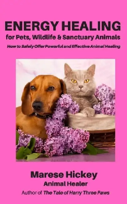 Energy Healing for Pets, Wildlife & Sanctuary Animals: How to Safely Offer Powerful and Effective Animal Healing by Marese Hickey