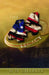 The 44th Legacy by H. H. Charles