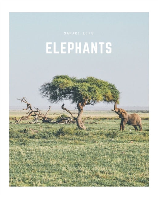 Elephants: A Decorative Book │ Perfect for Stacking on Coffee Tables & Bookshelves │ Cu by Co, Decora Book