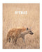 Hyenas: A Decorative Book │ Perfect for Stacking on Coffee Tables & Bookshelves │ Customized Interior Design & Home Decor by Decora Book Co