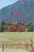 Un Berger Basque by de Altube, Manuel Sender