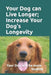 Your Dog can Live Longer; Increase Your Dog's longevity: Your dog will live longer and be more healthy with this information by Barry Bryant