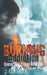 Burning Addiction by Bl Maxwell