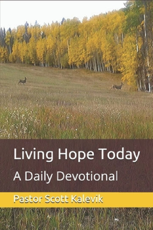Living Hope Today: A Daily Devotional by Peggy Kalevik