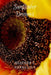 Sunflower Dreams by Heather L. Vanselous