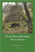 El artefacto hidráulico de La Jarosa by Sánchez Cordón, José Luis