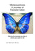 Metamorphosis, A Journey of Transformation: Moving from where you are to where you want to be! by Miriam Mills