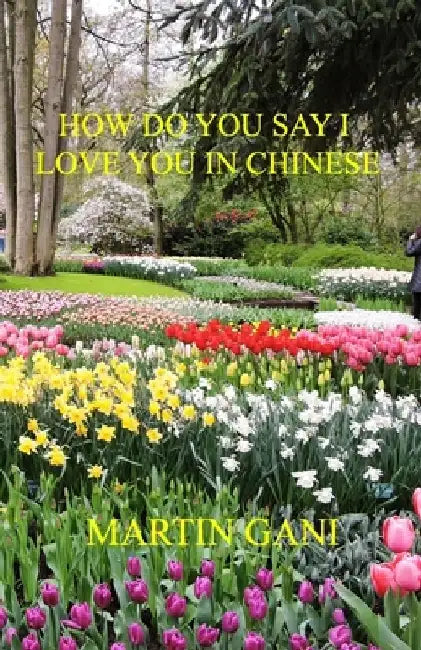How Do You Say I Love You In Chinese by Martin Gani