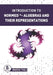 Introduction to Normed *-Algebras and their Representations by Marco Thill
