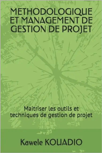 Methodologique Et Management de Gestion de Projet: Maitrise des outils et techniques de gestion de projet by Kouadio, Kawele