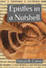 Epistles in a Nutshell by David B. Caton