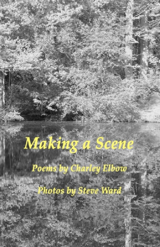 Making A Scene by Charley Elbow