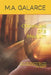 Chronicles of a Medium: The Truth about the Soul, The Premonitory Dreams, Intuition and Deja Vu by M. a. Galarce