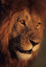 5 Inspiring Speeches: that may change your life by Siddharth Desai