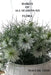 Haikus of All Seasons XII: Flora by Mayumi Itoh