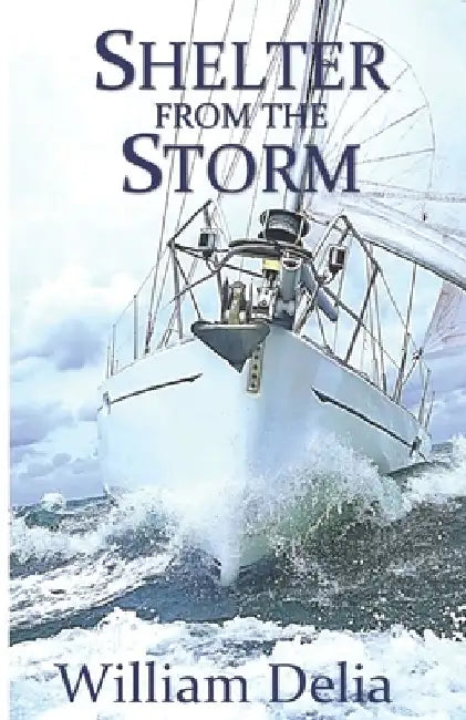 Shelter from the Storm by William Delia