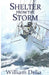 Shelter from the Storm by William Delia