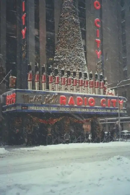 Holidays in New York: Adventures During Thanksgiving and Christmas 2000 - 2002...And One Big Surprise by David Bahler