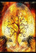 Paradigms of Meditation by Andrea Wisehart