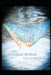 The Invisible World: Fight for Utopia by Andrea Susan Glass