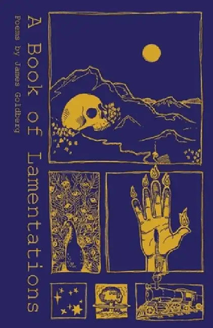 A Book of Lamentations by Nicole Wilkes Goldberg